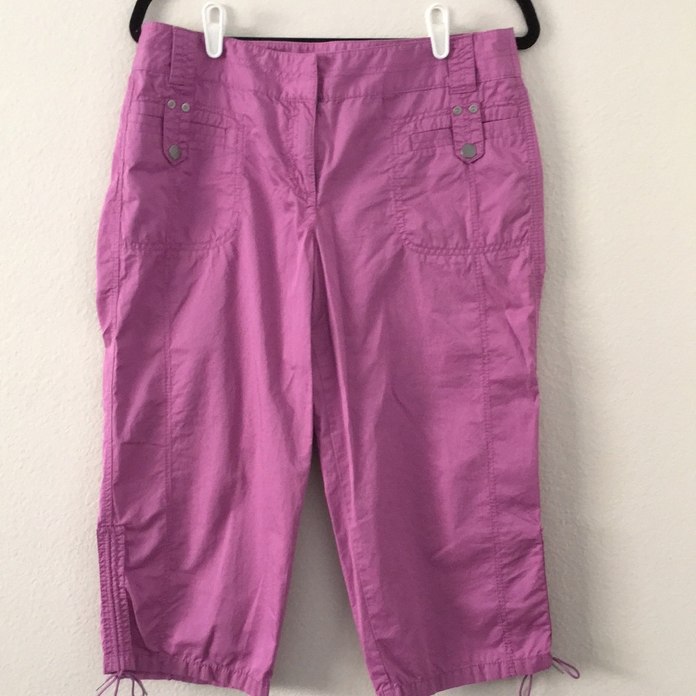 Ann Taylor Loft Marisa Capri pants